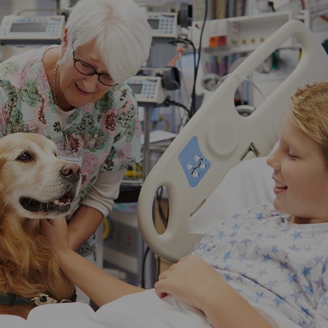 Enfant dans un lit d'hôpital + chien